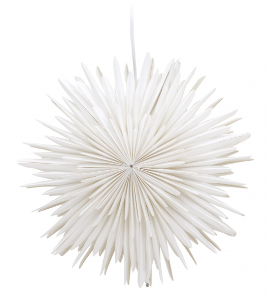 Stella di Natale 'Grent' - Bianca