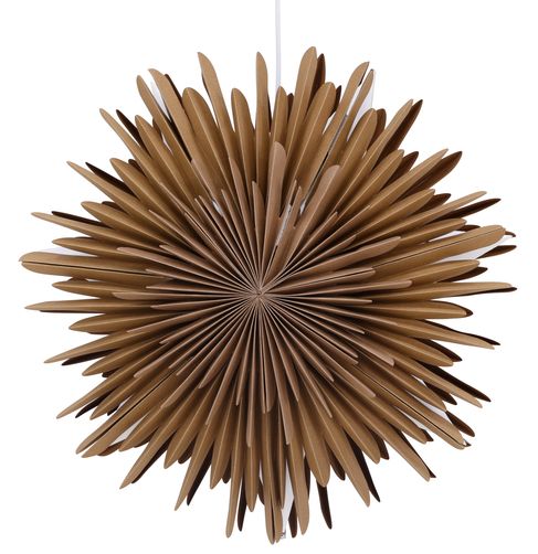 Stella dell'Avvento 'Svedala' 35cm - Marrone