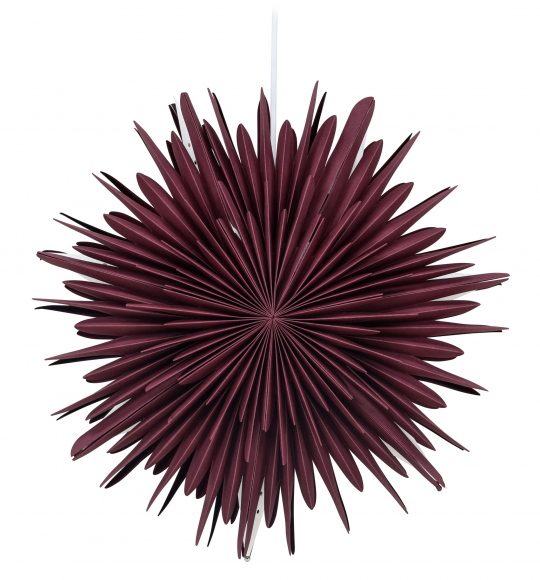 Stella di Natale 'Ture' - Rosso scuro