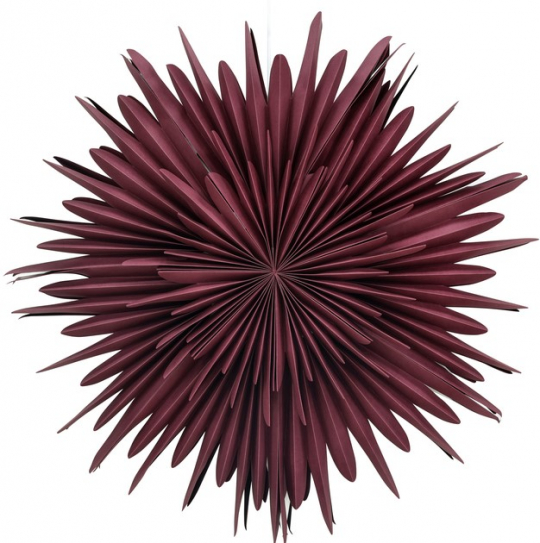 Stella dell'Avvento 'Svedala' 80cm - Rossa