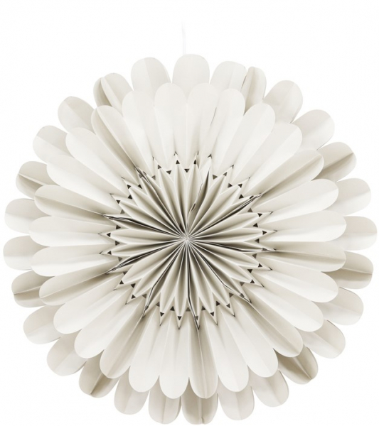 Stella dell'Avvento 'Mora' - Beige