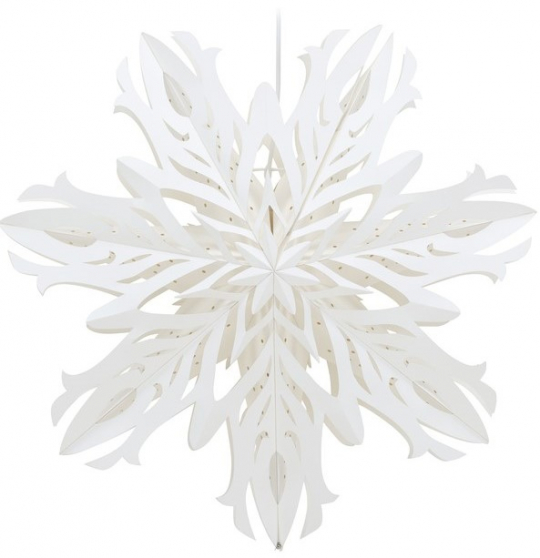 Stella dell'Avvento 'Kungälv' - Bianco