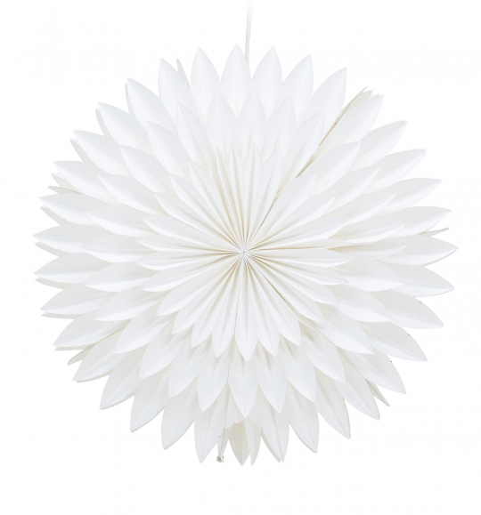 Stella di Natale 'Örnsköldsvik' - Bianco