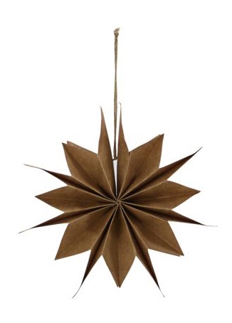 Stella di Natale 'Capella' S - Naturale