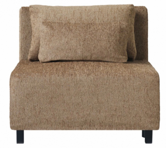 Modulo 'Camphor' - Camel