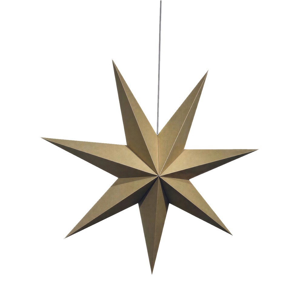 Stella dell'Avvento 'Sally' 60cm - Marrone