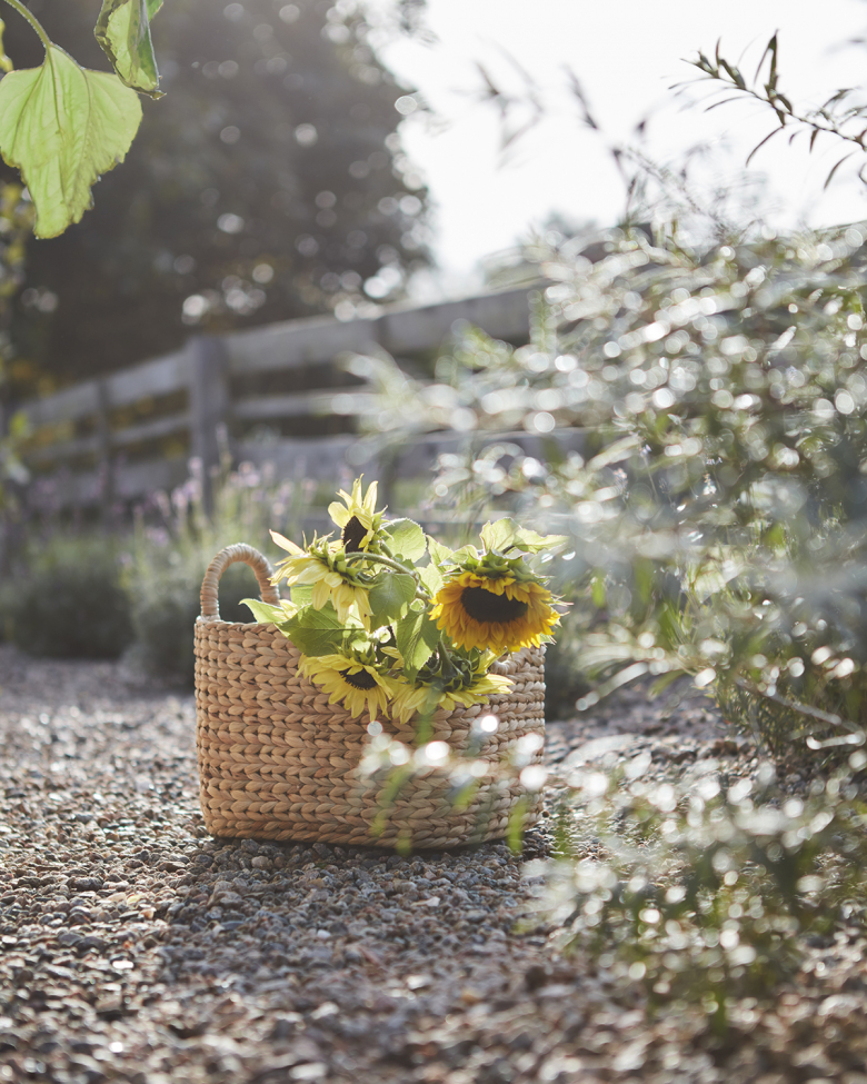 2 pack Ceste 'Collect' - Naturale