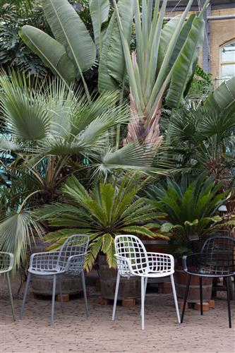 Sedia 'Albert' - Bianca