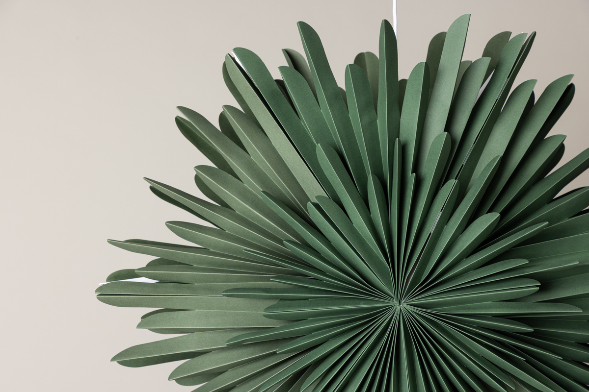 Stella dell'Avvento 'Svedala' 80cm - Verde