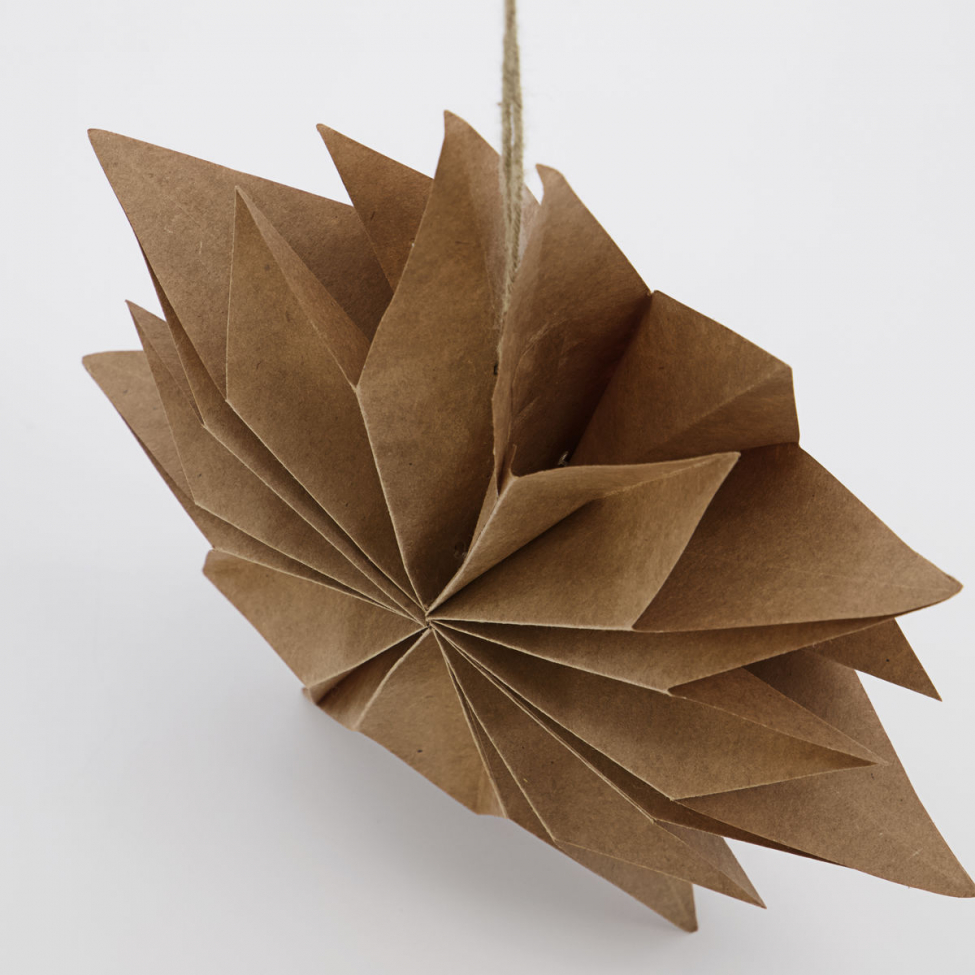 Stella di Natale 'Capella' S - Naturale