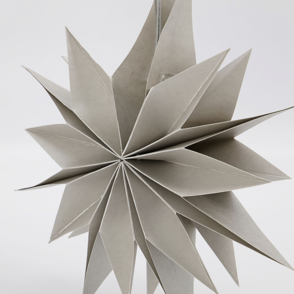 Stella di Natale 'Capella' - Perla S