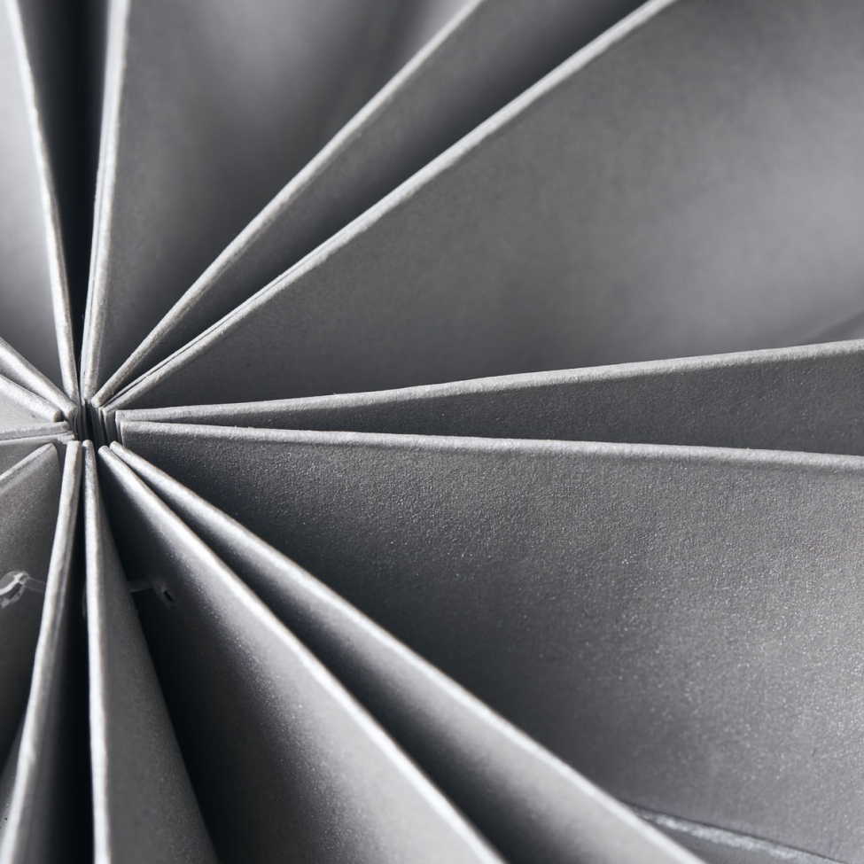 Stella di Natale 'Capella' - Perla S