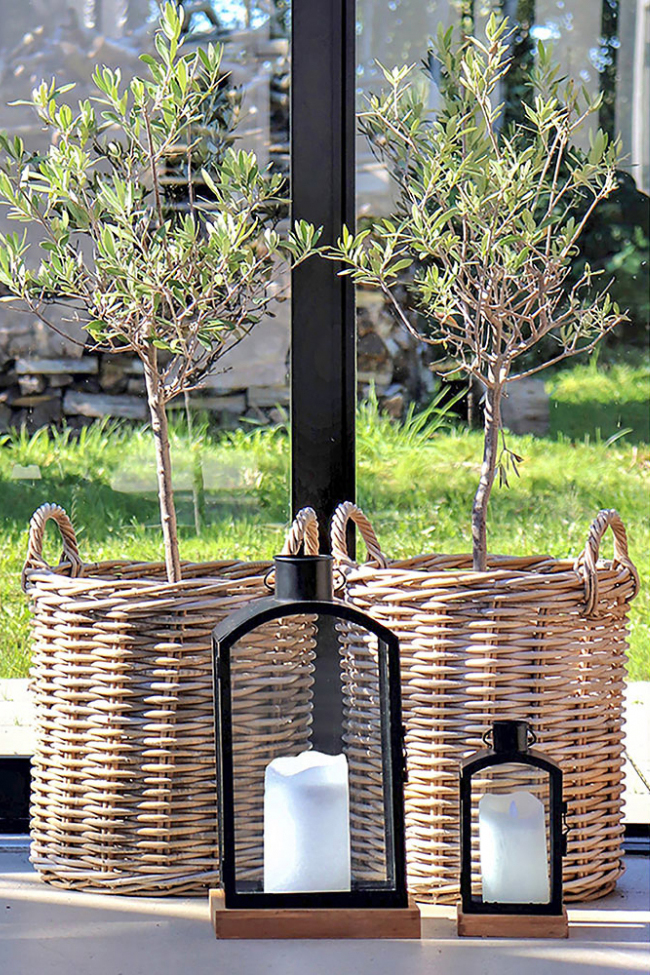 Ceste 'Indo' 2-pack - Naturale