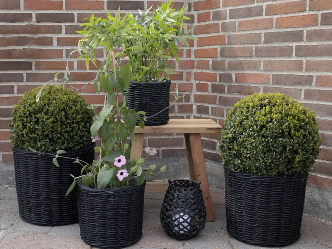 Ceste 'Bogor Black' 4-pack - Nero