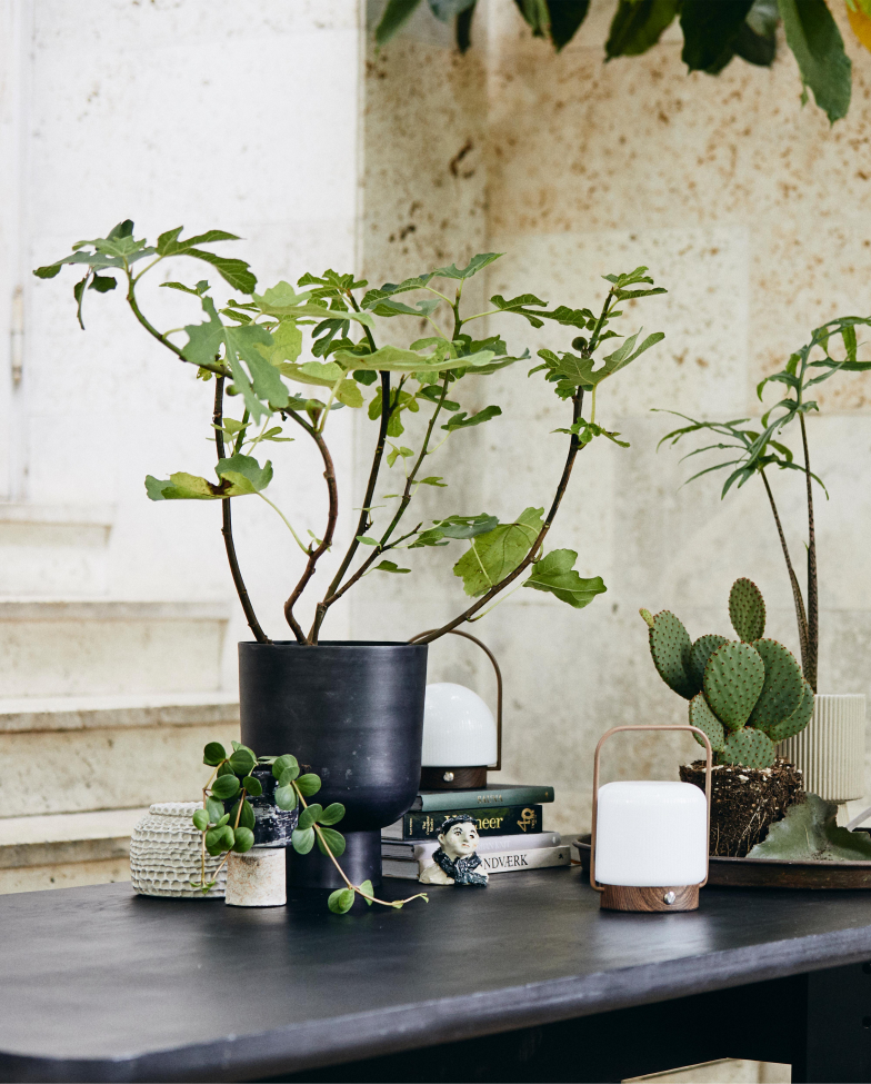 Lampada portatile 'Troy' - Bianco/Marrone