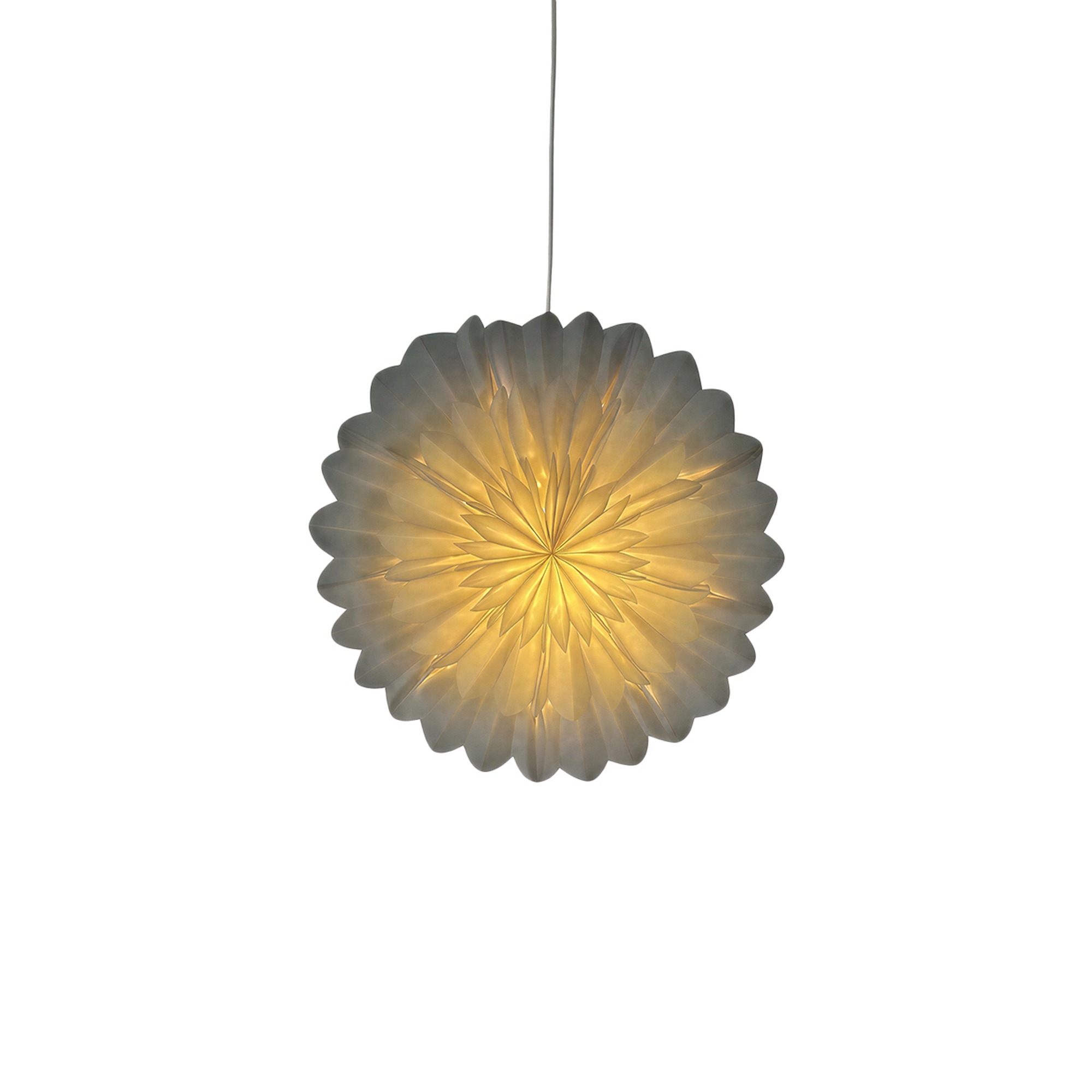 Stella dell'Avvento 'Lotus' 45cm - Bianca