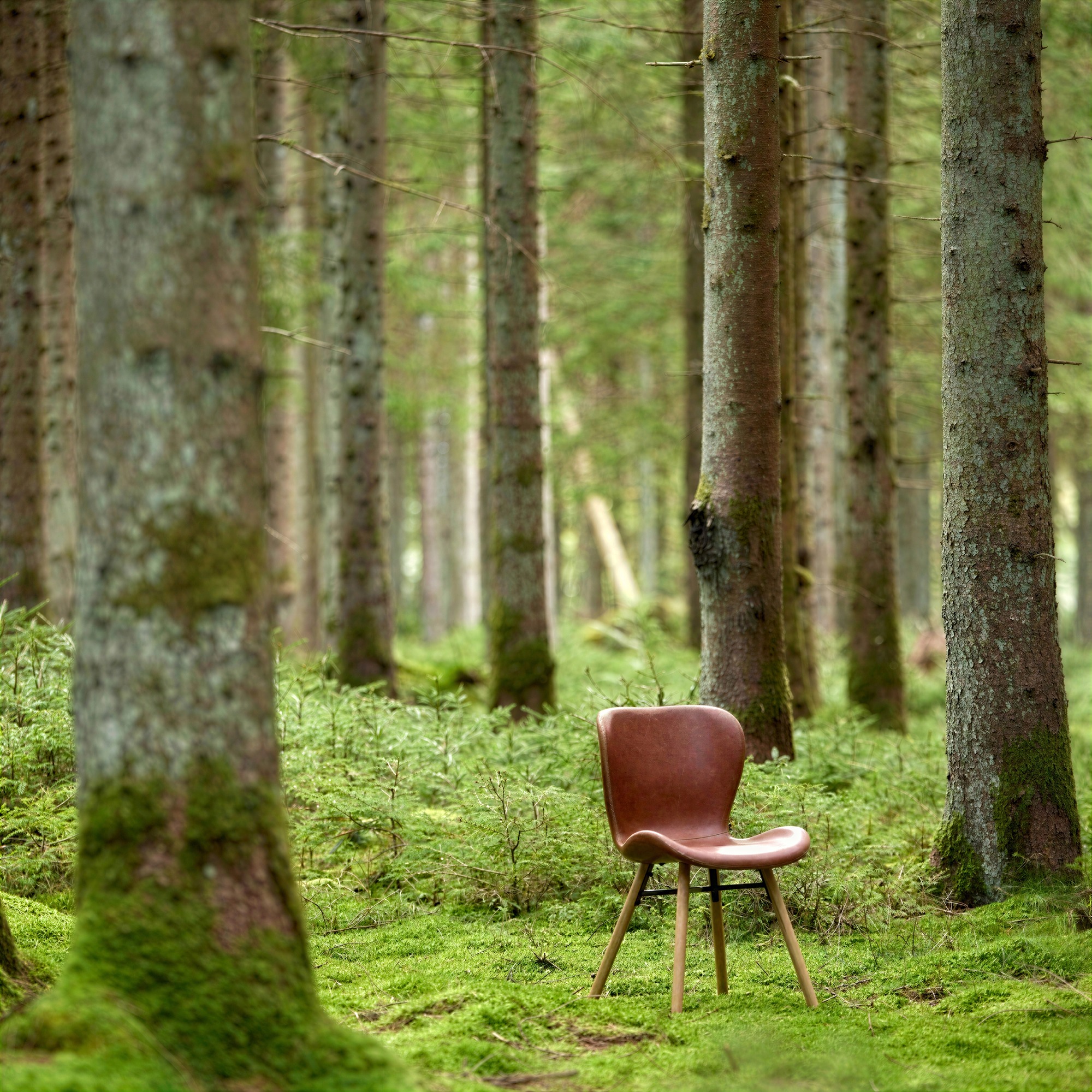 Sedia 'B&ouml;da' - Naturale/Marrone