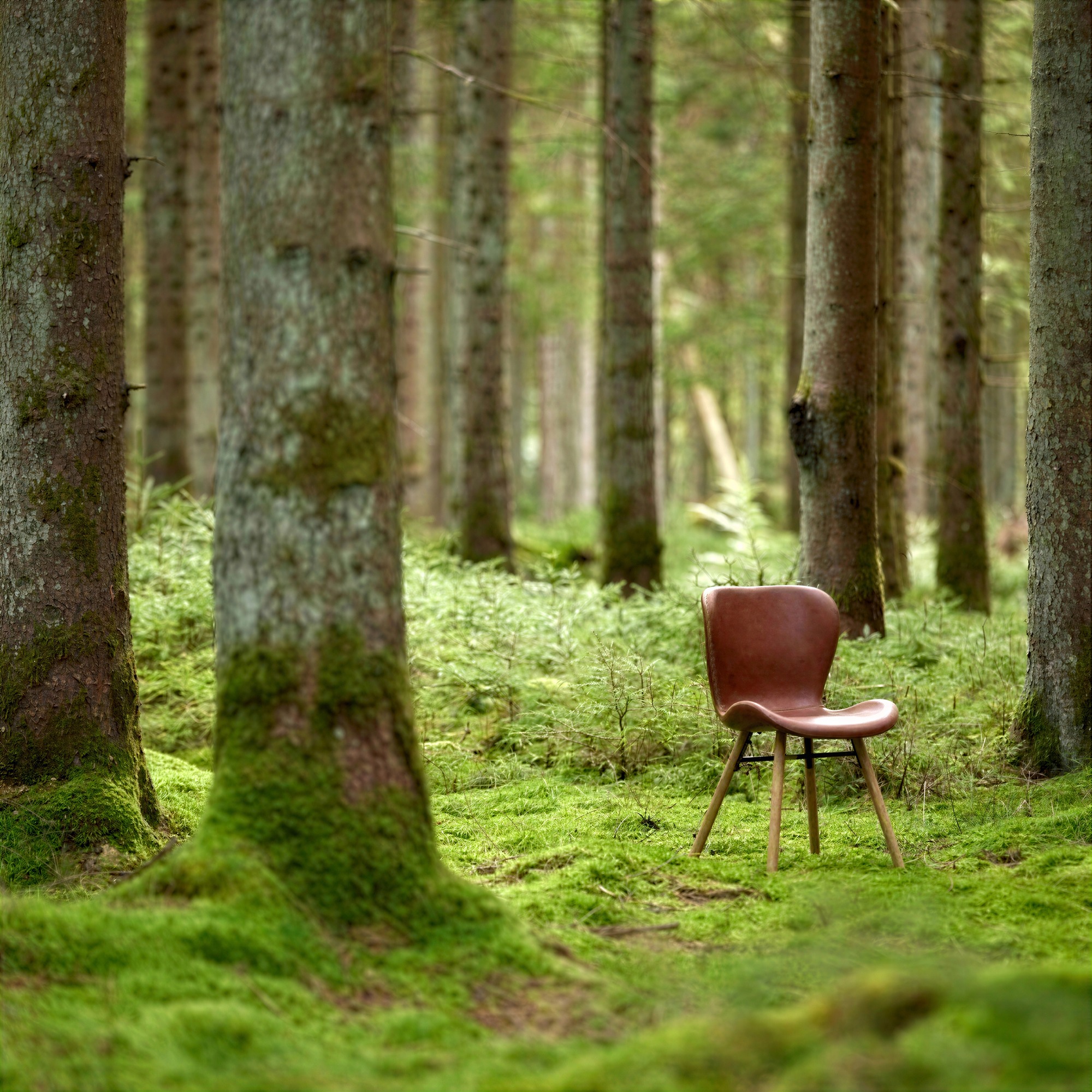 Sedia 'B&ouml;da' - Naturale/Marrone
