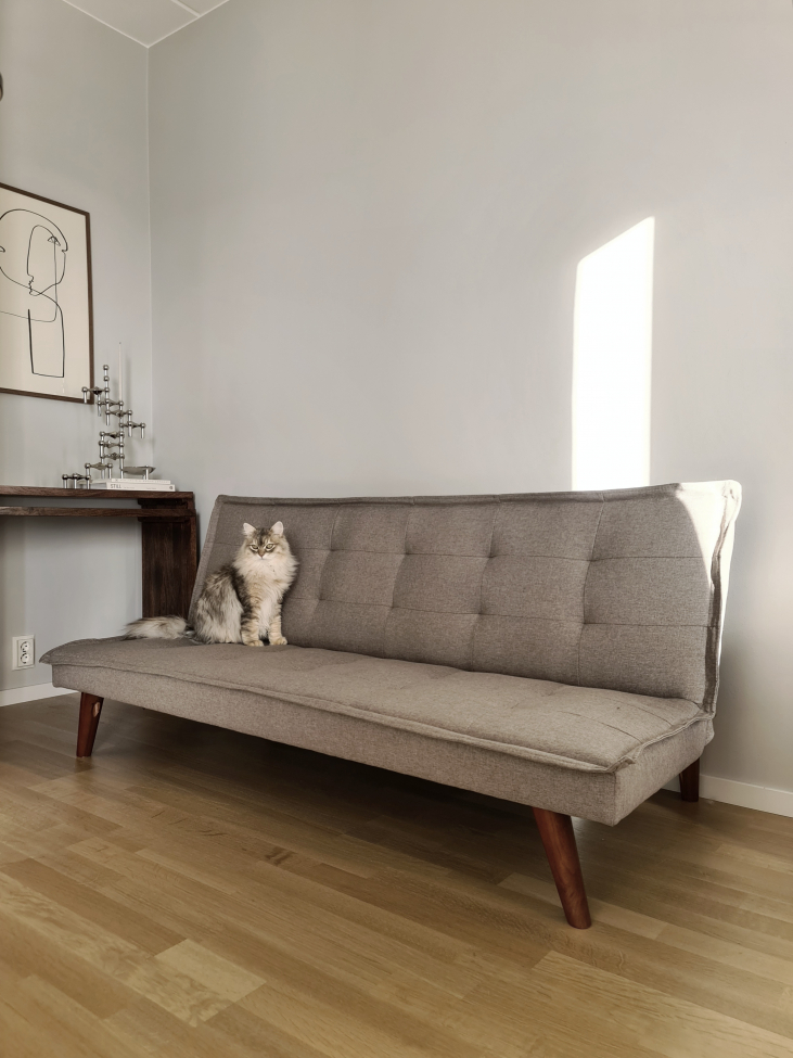 Divano letto 'Eucalipto' - Beige