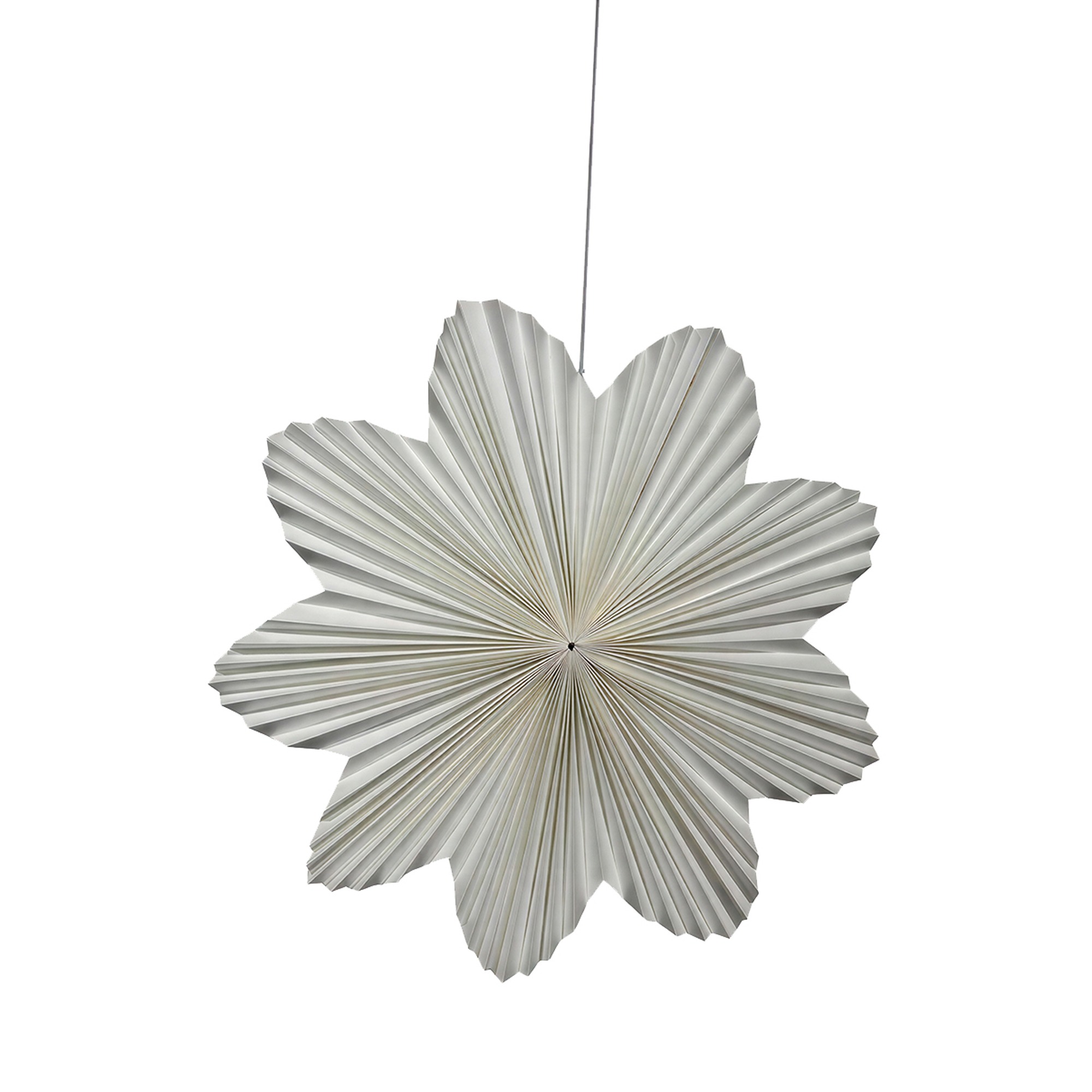 Stella di avvento 'Daisy' 60cm - Bianca