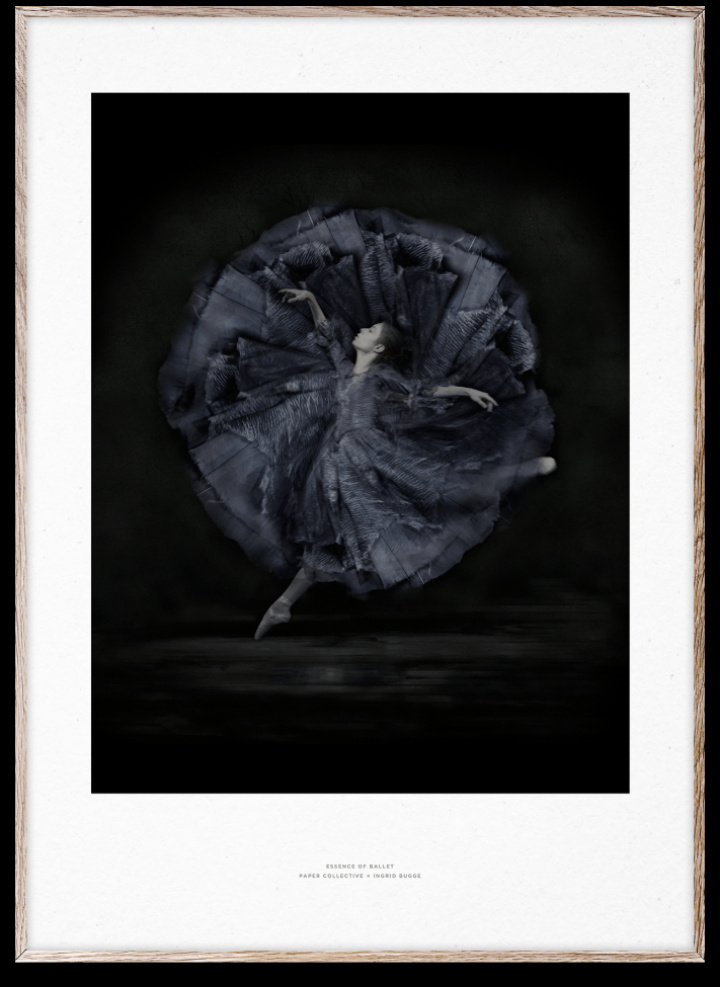 Poster \'Essence of Ballet 06\' 50x70 - Nero/Bianco nel gruppo Arredamento / Decorazione / Quadri e poster presso Reforma (10119)