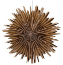 Stella dell\'Avvento \'Svedala\' 35cm - Marrone