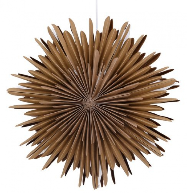 Stella dell\'Avvento \'Svedala\' 35cm - Marrone nel gruppo Stanze / Soggiorno presso Reforma (20030-103)