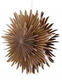 Stella dell\'Avvento \'Svedala\' 35cm - Marrone