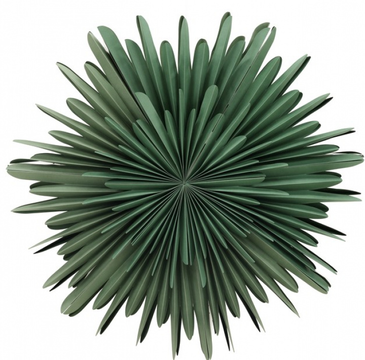 Stella dell\'Avvento \'Svedala\' 80cm - Verde nel gruppo Natale / Decorazioni natalizie / Stelle di Natale presso Reforma (20033-104)