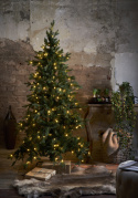 Albero di Natale \'Larvik Illuminazione\' - Verde