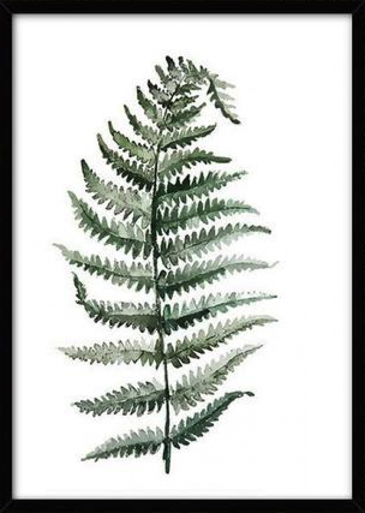 Poster Canvas L - Pianta tropicale 10 nel gruppo Arredamento / Decorazione / Quadri e poster presso Reforma (LS71237-10-K-5070)