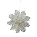 Stella di avvento \'Daisy\' 60cm - Bianca