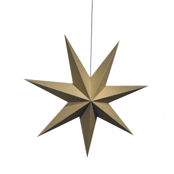 Stella dell\'Avvento \'Sally\' 60cm - Marrone nel gruppo Illuminazione / Lampade / Illuminazione natalizia presso Reforma (advent-star-brown)
